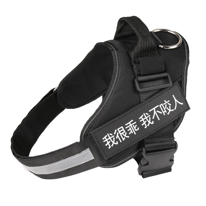 Gentle Pet Harness for Happy Outdoor Adventures