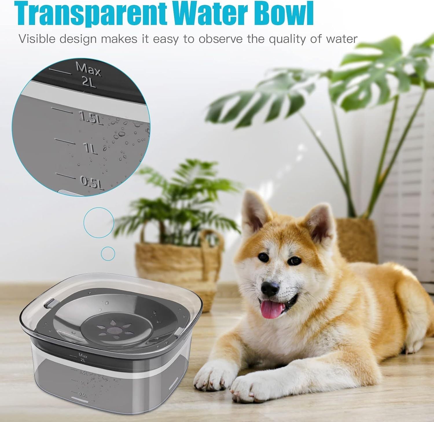 Travel-Friendly Dog Water Bowl – Large 2L Capacity