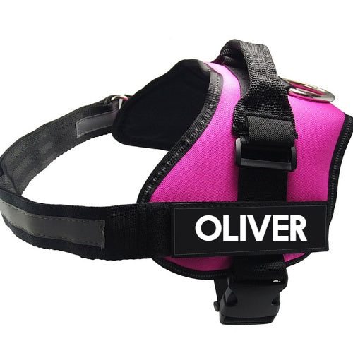 Gentle Pet Harness for Happy Outdoor Adventures