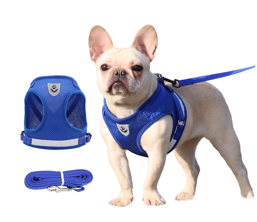 Comfy Pet Harness – Breathable Chest & Back Support