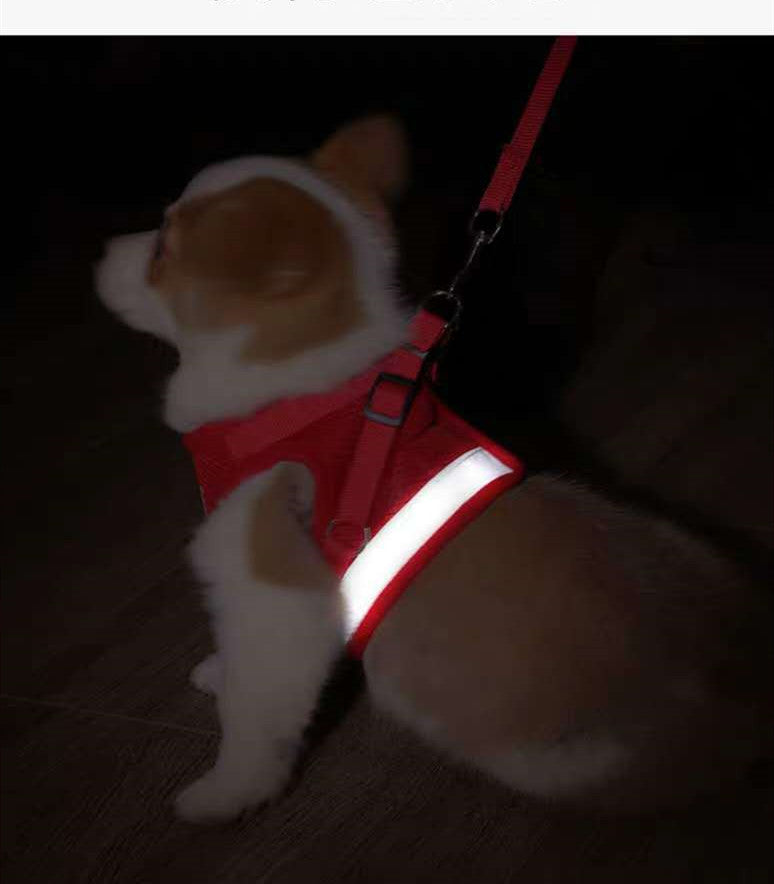 Comfy Pet Harness – Breathable Chest & Back Support