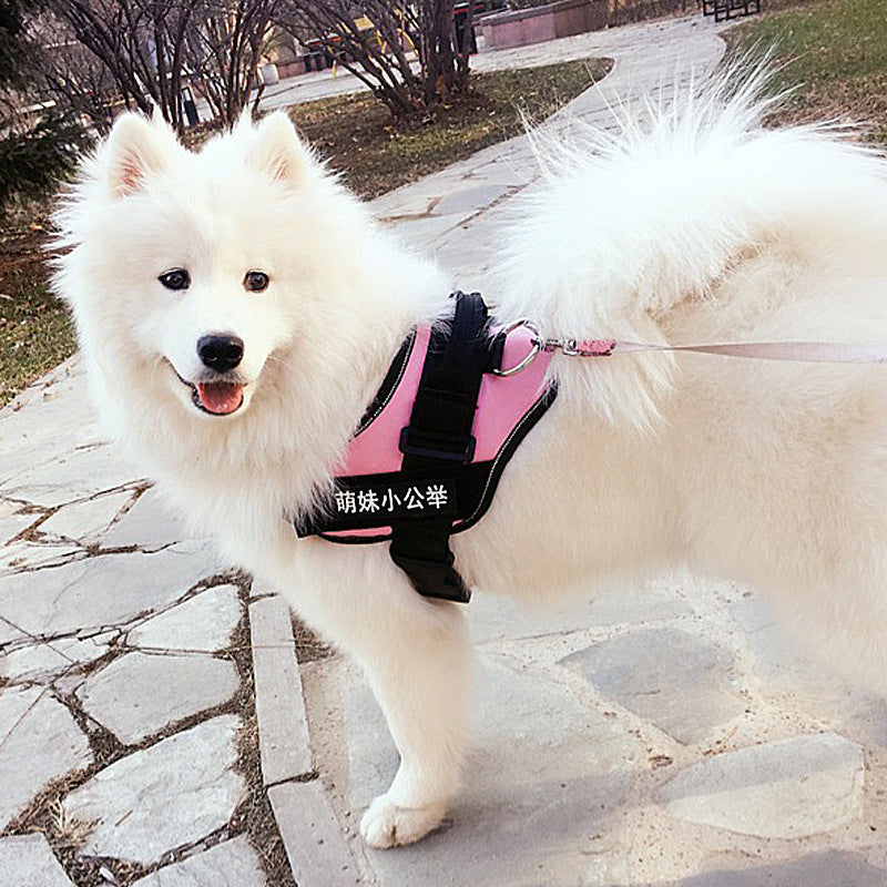 Gentle Pet Harness for Happy Outdoor Adventures