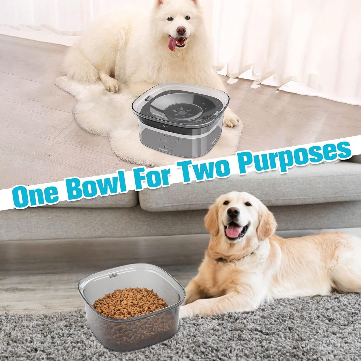 Travel-Friendly Dog Water Bowl – Large 2L Capacity